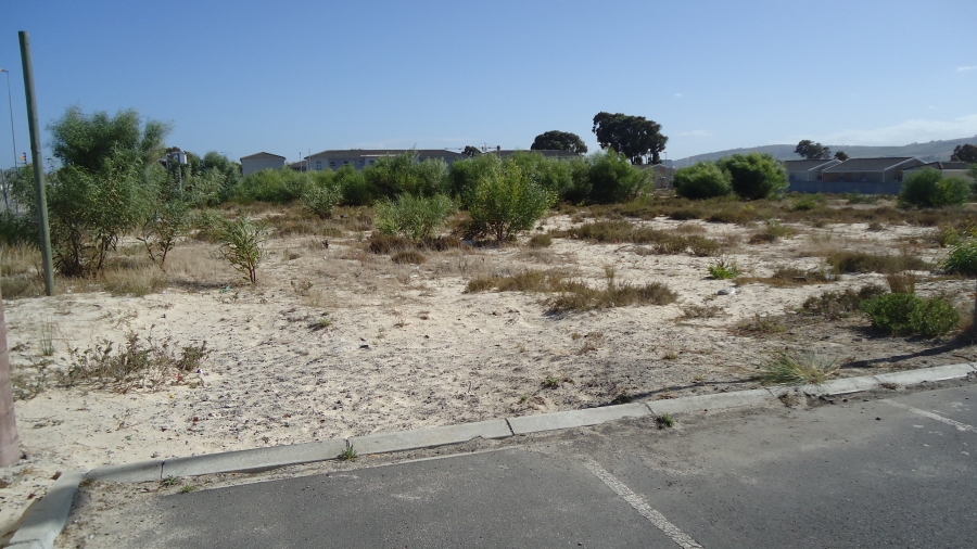 0 Bedroom Property for Sale in The Connifers Western Cape